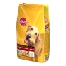 Корм сухой "Pedigree" для собак старше 8 лет, 450 г и необходимые ей жизненные силы инфо 11334f.